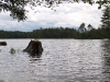 Trout Pond